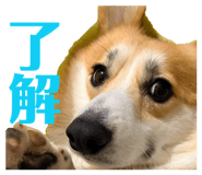 839713624