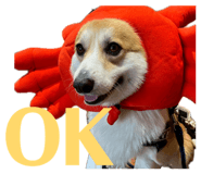 839713626