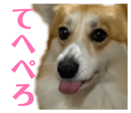 839713635