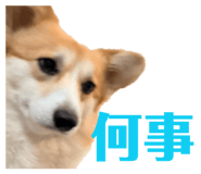 839713636