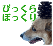 839713641