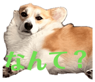 839713642