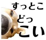 839713656