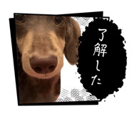 839714081