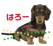 839714086