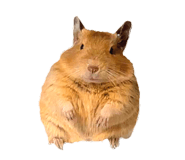 839714356