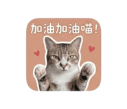839714800
