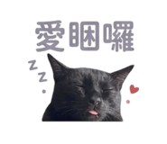 839714808