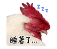 839715561