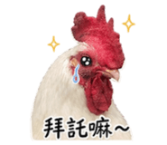 839715565