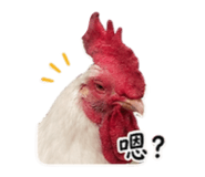 839715569