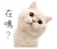839715577