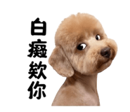 839715787