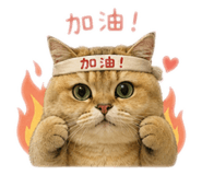 839715998