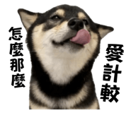 839716033
