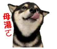 839716042