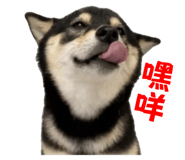 839716043