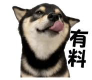 839716045