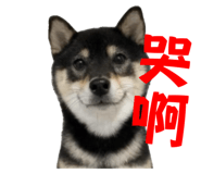 839716048