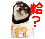 839716051