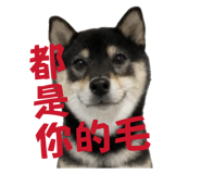 839716060