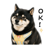 839716365