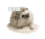 839716986