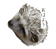 839716987