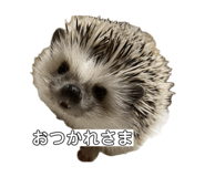 839716988