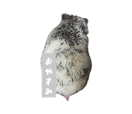 839716992