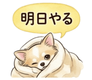 839716997