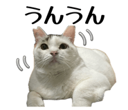 839717143