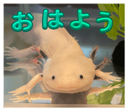 839717297