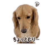 839717387