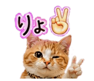 839717428