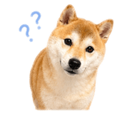 839720732