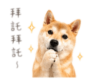 839720744