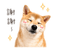 839720751