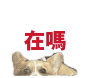 839720810