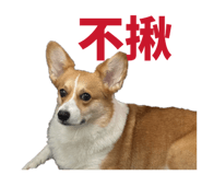 839720811