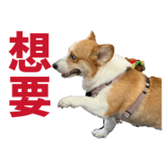 839720812