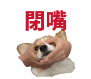 839720813