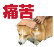 839720814