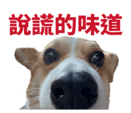 839720816