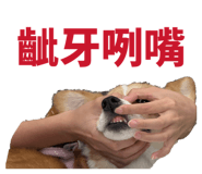 839720829