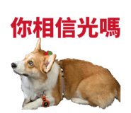 839720830