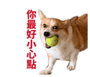 839720831