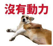 839720843