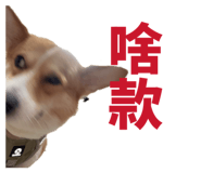 839720846