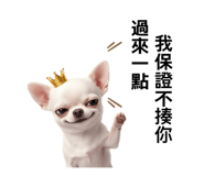 839721056